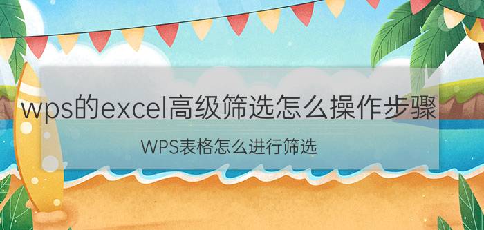 wps的excel高级筛选怎么操作步骤 WPS表格怎么进行筛选？